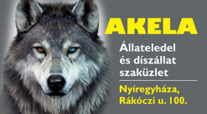 Akela Állateledel és Díszállat Szaküzlet